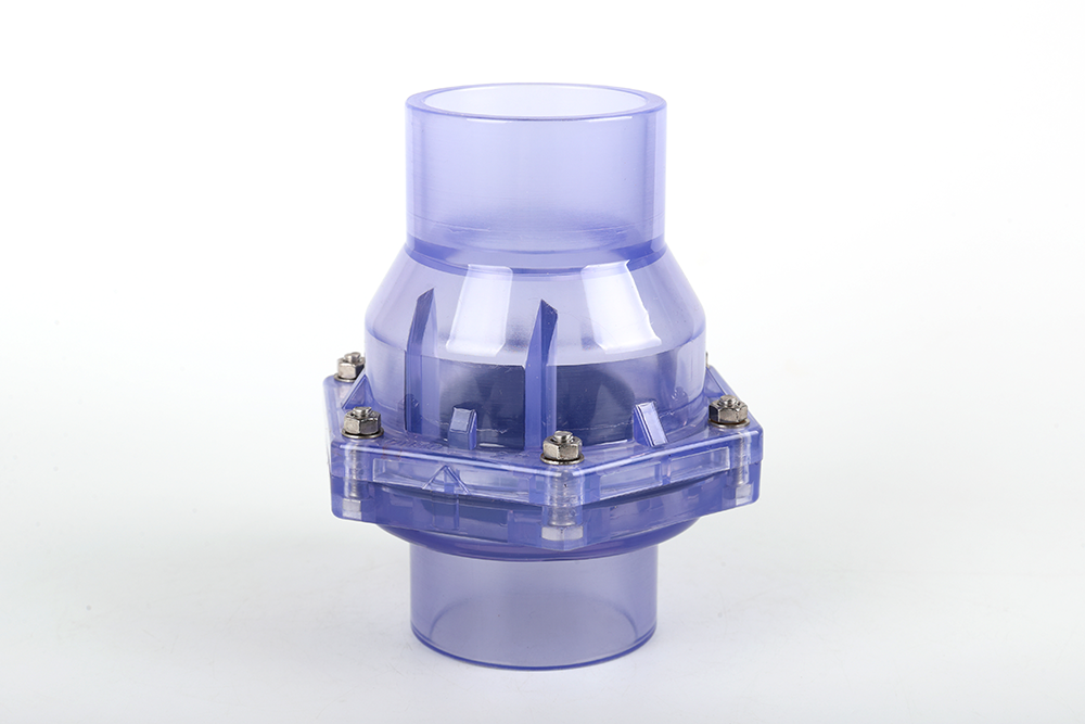 沽源透明翻板式止回阀